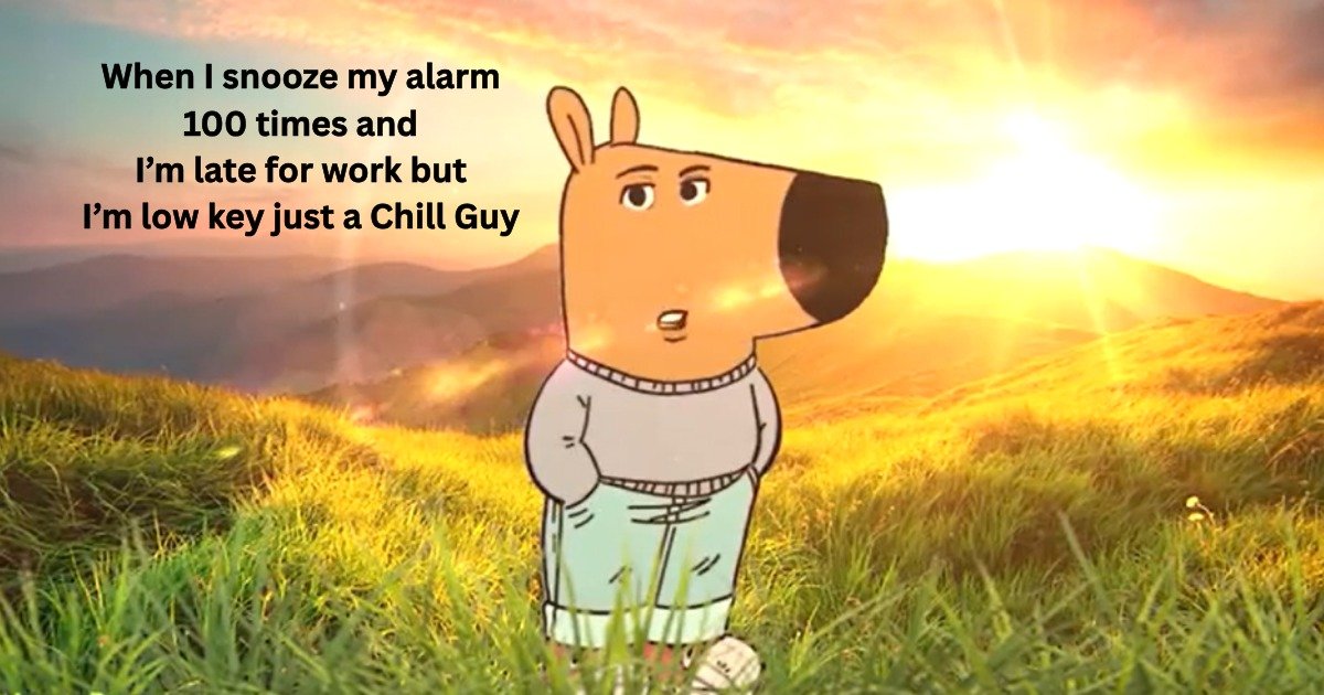 Chill Guy Memes