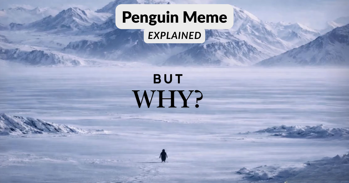 But Why Penguin Meme: Viral Heartbreak Symbol Explained