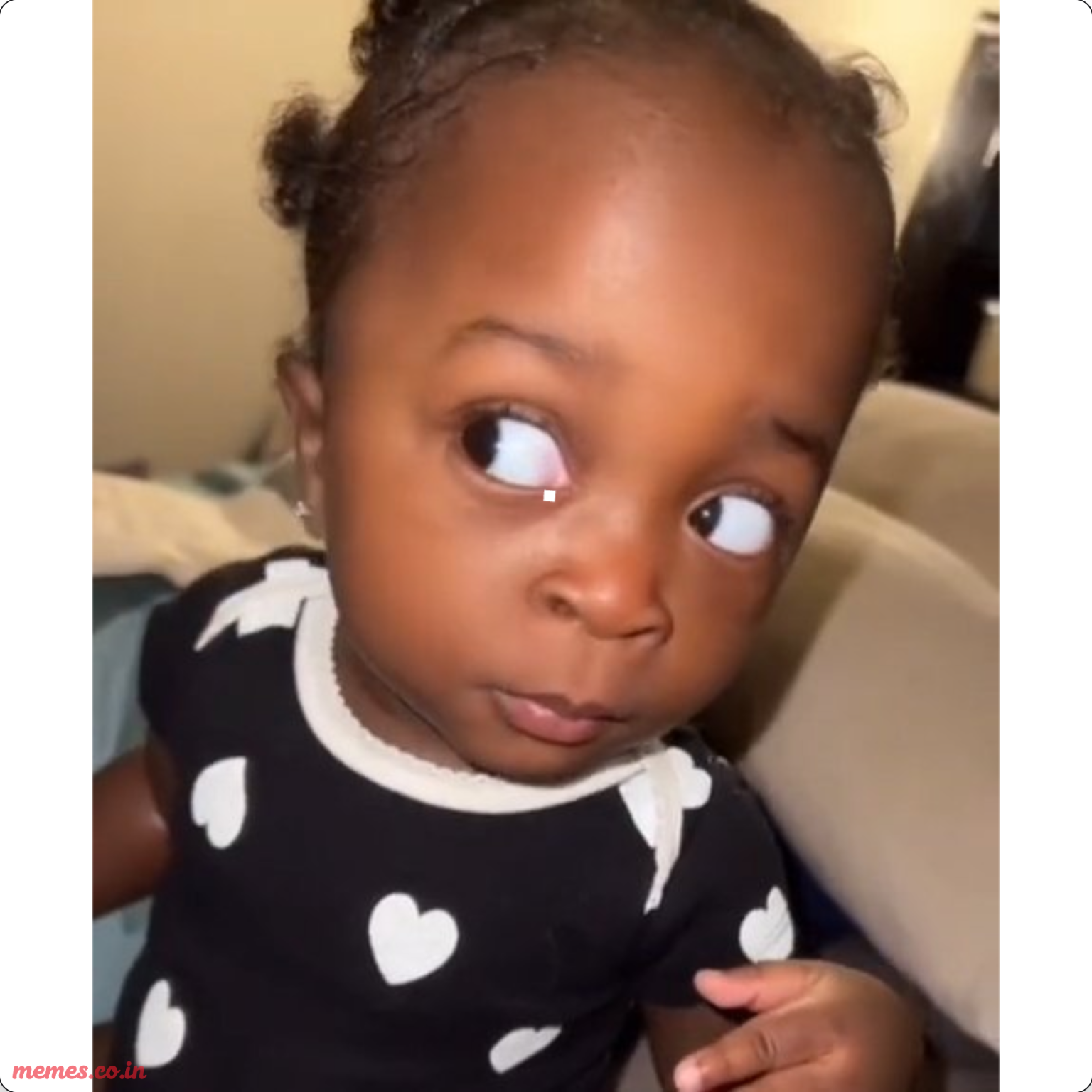 Companey Gif Trending Memes Today: Viral Meme Videos, GIFs & Sounds