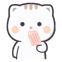 Airallia Cat Chan GIF