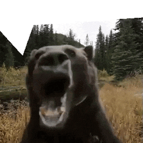 Bear Jumpscare GIF