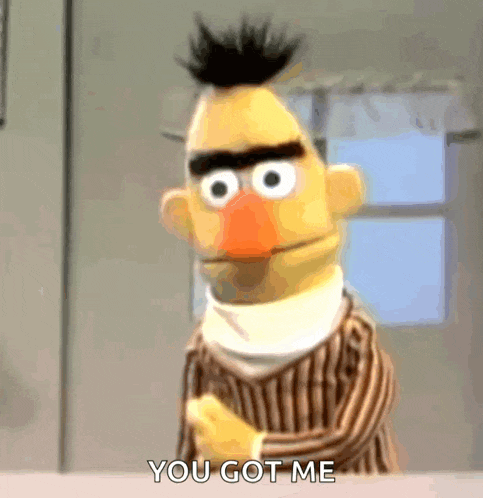 Bert Sesame Street GIF