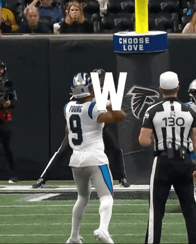 Carolina Panthers Nfl GIF