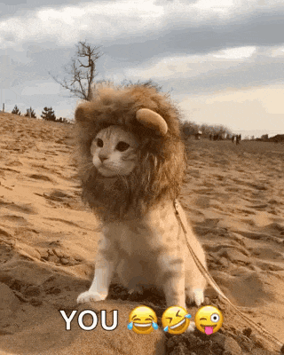 Cat Lion GIF
