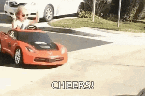 Cheers GIF