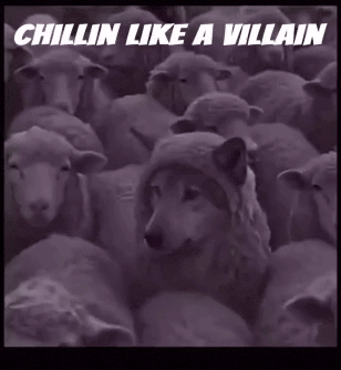 Chill Out GIF