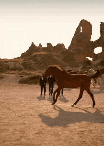 Cool Cooling GIF