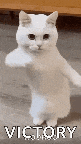 Cool Funny GIF