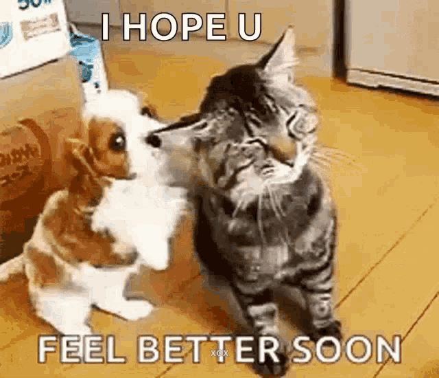 Cute Puppy GIF