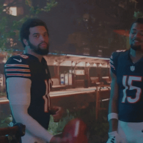 Da Bears Chicago Bears GIF