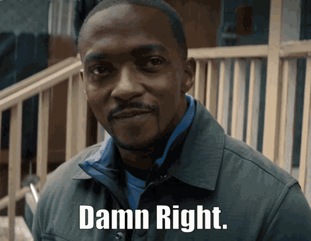 Damn Right Anthony Mackie GIF