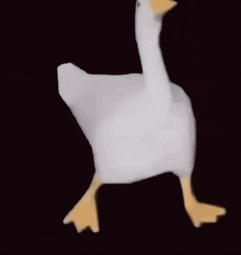 Goose Dancing GIF