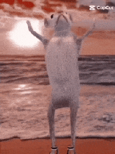 Dancing Mouse GIF