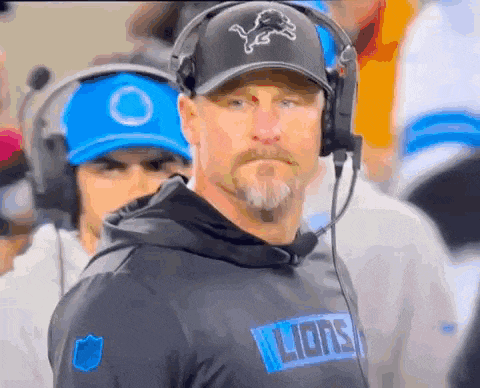 Detroit Lions GIF