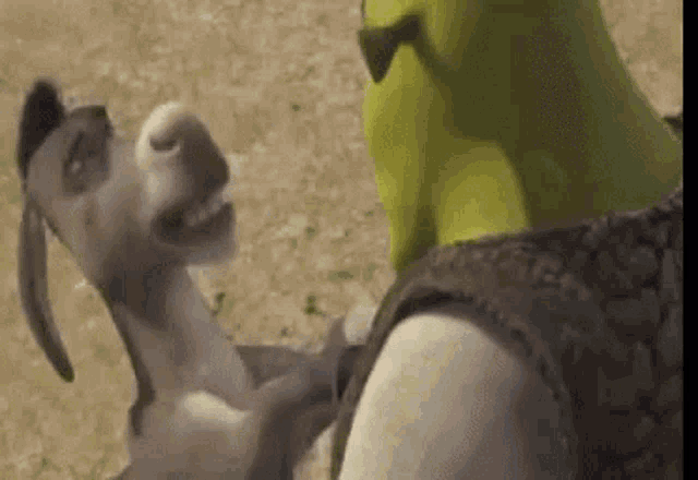 Donkey GIF
