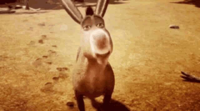 Donkey Yes GIF