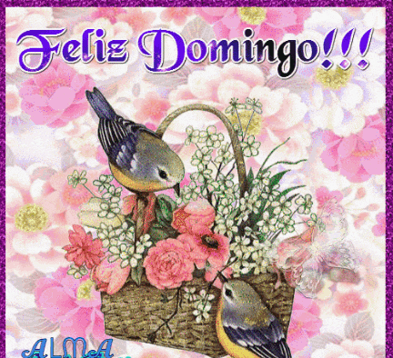 Feliz Domingo GIF