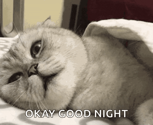 Fine Then Well Bye GIF