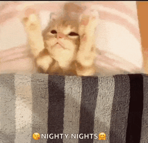 Funny Animals Good Night GIF