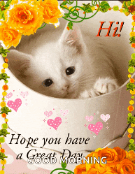 Good Day Hi GIF