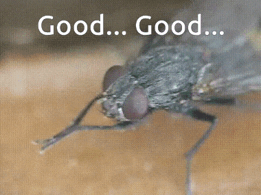Good Rub Hands GIF