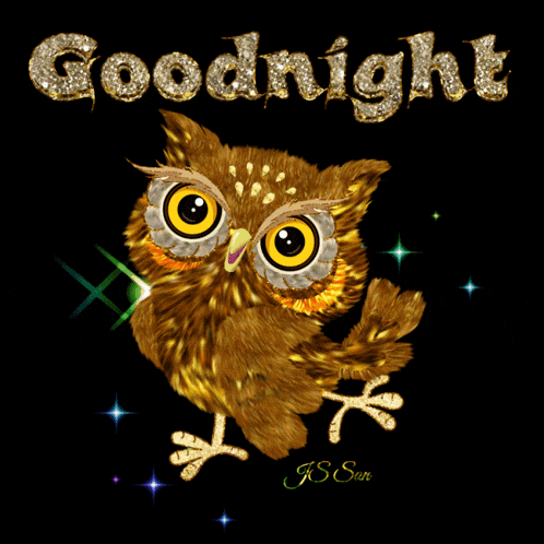 Good Night Owl GIF