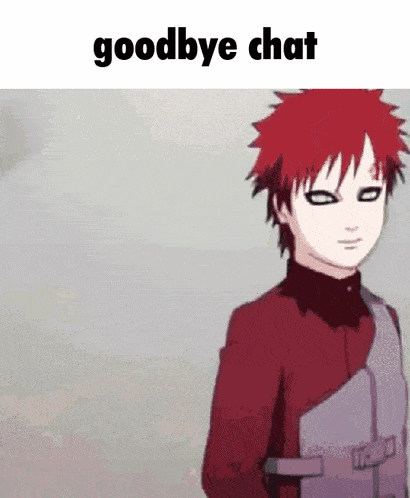 Goodbye Chat Meme GIF