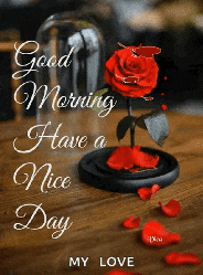 Goodmorning Haveaniceday GIF