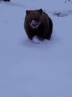 Happy Hopping GIF