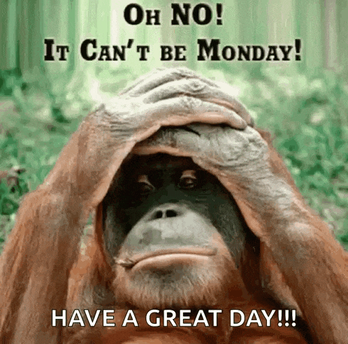 Happy Monday Morning GIF