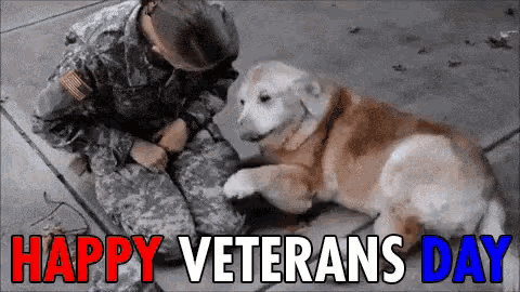 Happy Veterans Day Soldiers GIF