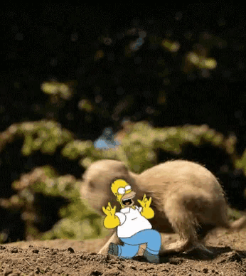 Homer Groundhog GIF