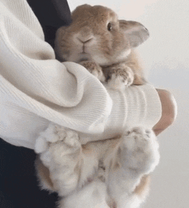 Hug Cuddle GIF