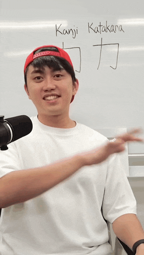 Japan Real Real Japan GIF