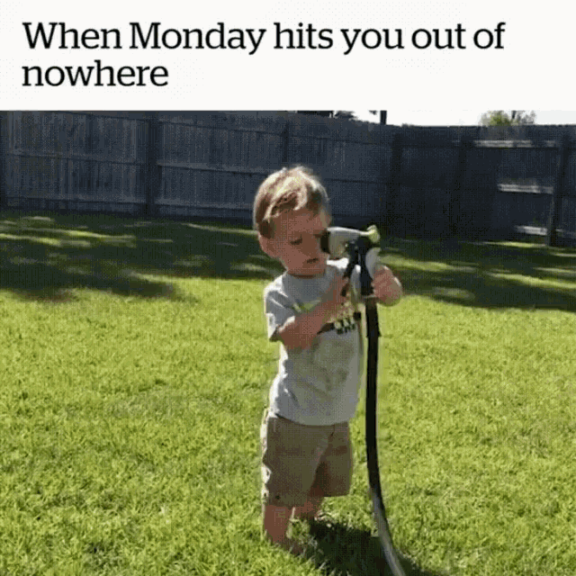 Kid Monday GIF