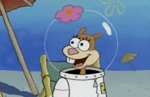 Laughing Sandy Cheeks GIF