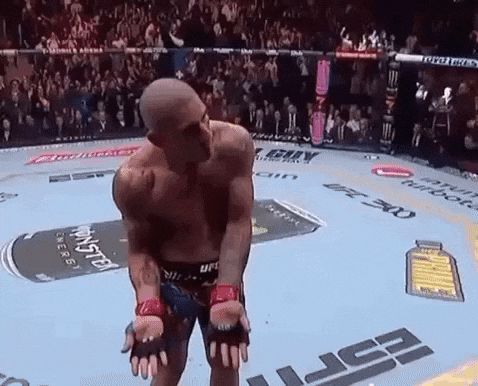 Mixed Martial Arts Sport GIF
