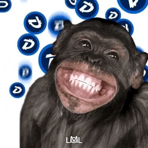 Ape GIF