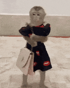 Monkey Monkey Dress GIF