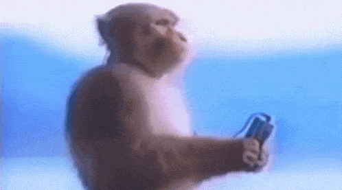 Monkey With Headphones GIF