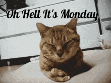 Morning GIF