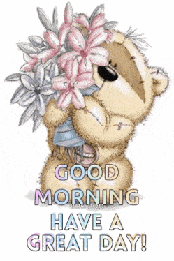 Morning Good Morning GIF