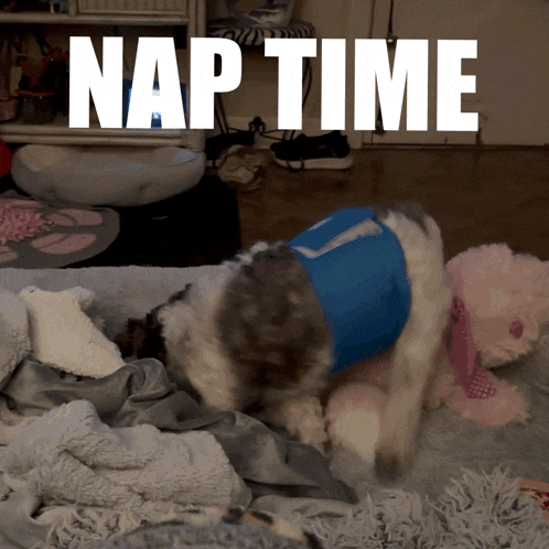 Nap Time Cute GIF