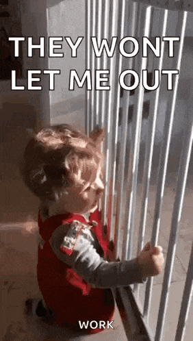 No GIF