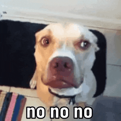 No No No No GIF