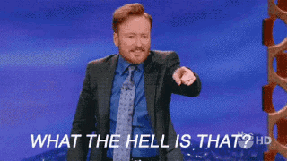 No What The Hell Is That GIF