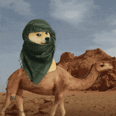 Own The Doge GIF