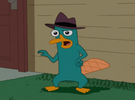 Phineas And Ferb Perry GIF