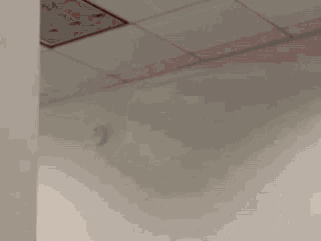 Pink Ninja GIF