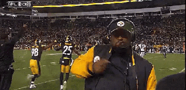 Pittsburgh Steelers GIF